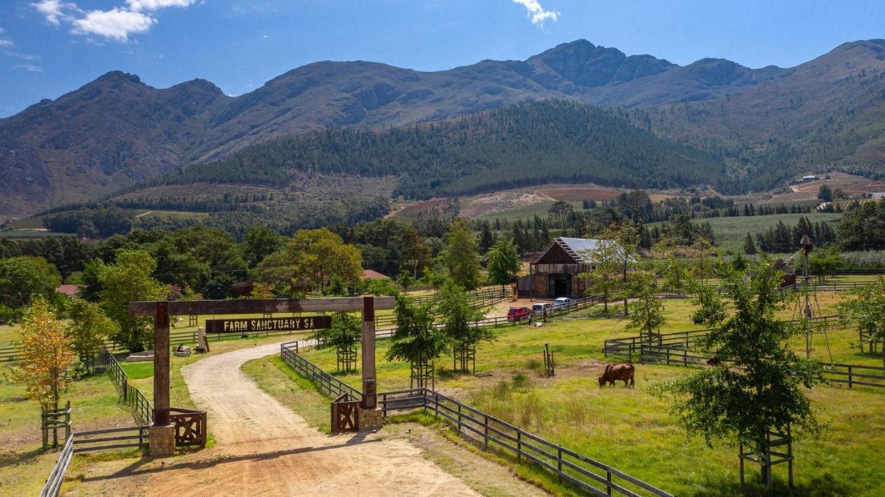 ホテルInspiring Farm Sanctuary And Famous Painting Pig フランシュホーク エクステリア 写真