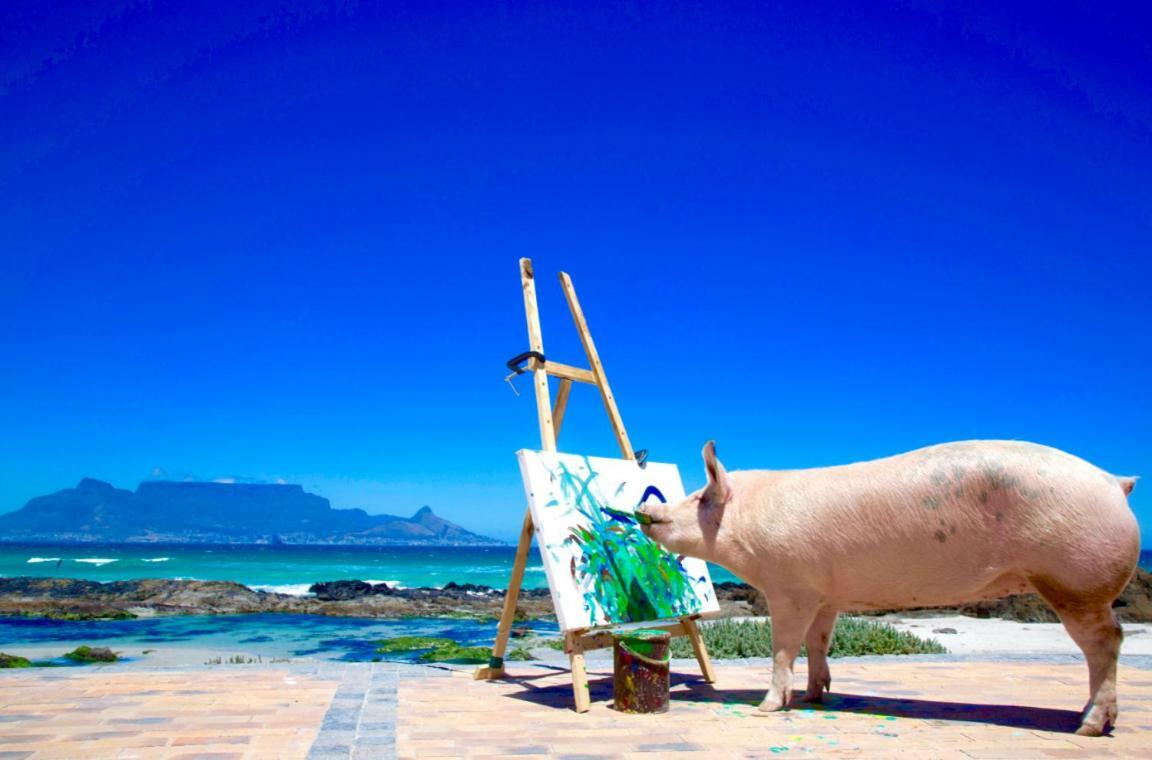 ホテルInspiring Farm Sanctuary And Famous Painting Pig フランシュホーク エクステリア 写真