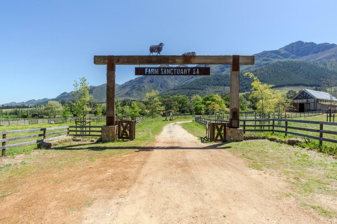 ホテルInspiring Farm Sanctuary And Famous Painting Pig フランシュホーク エクステリア 写真